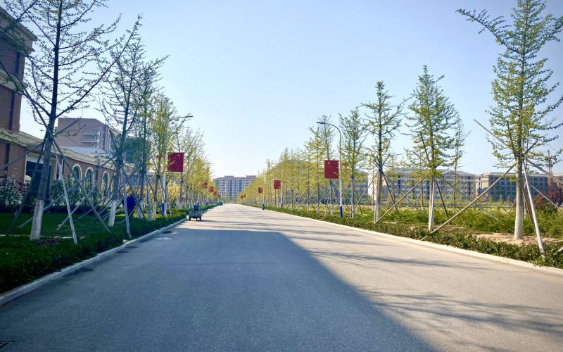 烟台黄金职业学院职教高考